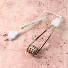 Portable immersion heater