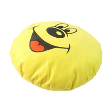 Plush Cushion